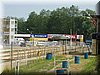 P1010096.JPG