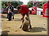 P1010005.JPG
